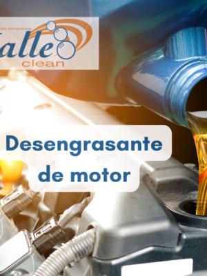 Desengrasante para motor 20L